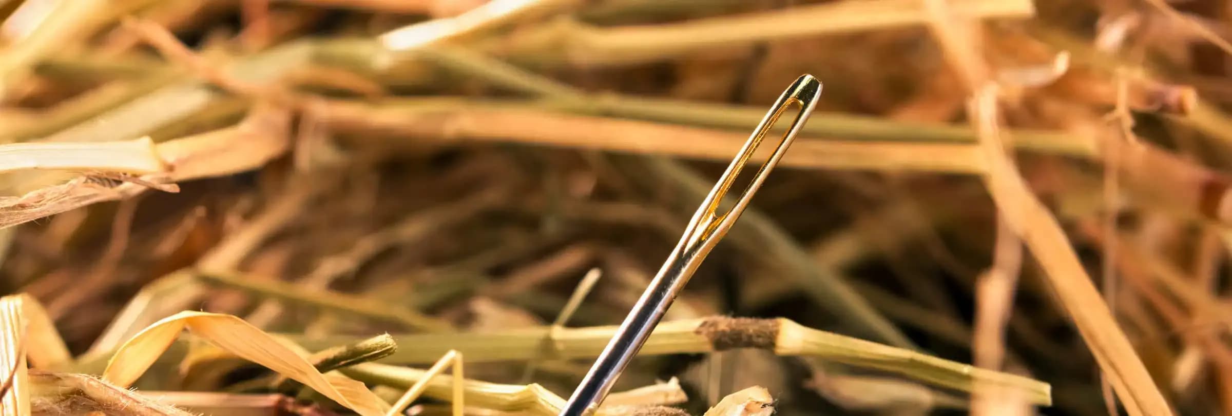 Needle in a haystack